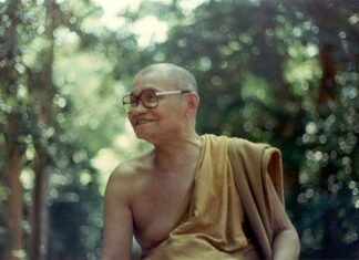 Ngôi nhà chân thực của chúng ta (song ngữ)
