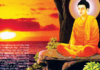 Khắc Phục Nạn Phá Rừng Dưới Góc Nhìn Giới Không Sát Sanh Của Phật Giáo