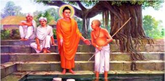 Kinh Nghiệp Quả Asibandhakaputta sutta