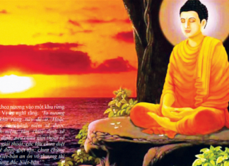 Khắc Phục Nạn Phá Rừng Dưới Góc Nhìn Giới Không Sát Sanh Của Phật Giáo