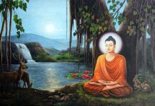 Lợi ích của Thiền