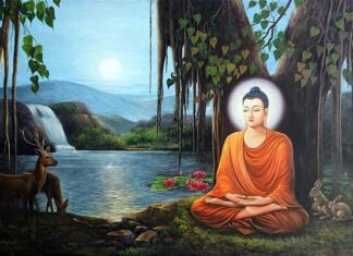 Lợi ích của Thiền