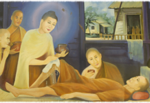 Những người thầy tôn kính