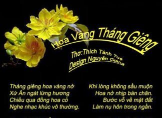 Sen Nở Hồ Tâm