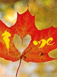 iloveme1 iloveme1