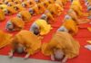 Lợi ích của pháp tu Lạy Phật