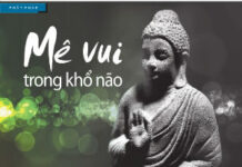 Mê Vui Trong Khổ Não