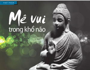 Mê Vui Trong Khổ Não