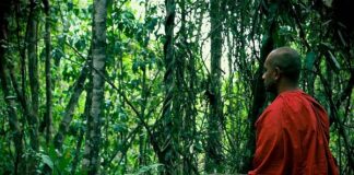 Pháp giúp Bồ-tát tại gia thành tựu Bồ-đề vô thượng