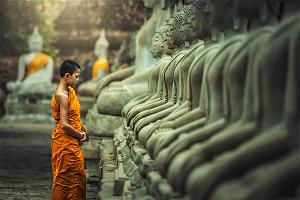 sơ tâm sơ tâm