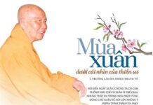 Mùa Xuân Dưới Cái Nhìn Của Thiền Sư