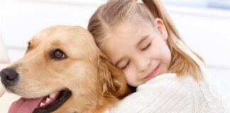 Quả báo hành hạ súc vật