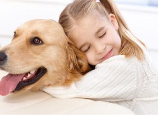 Quả báo hành hạ súc vật