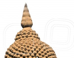 Giới thiệu Bộ Phân Tích Đạo của Ngài Xá Lợi Phật