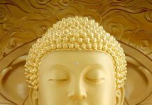 Hạn Chế Sân Hận Trải Rộng Tình Thương
