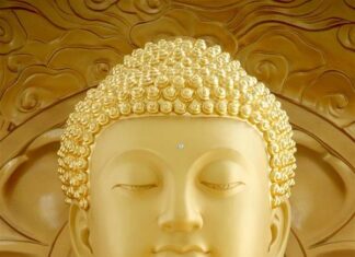 Hạn Chế Sân Hận Trải Rộng Tình Thương