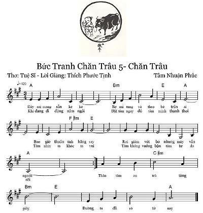 chan-trau-5