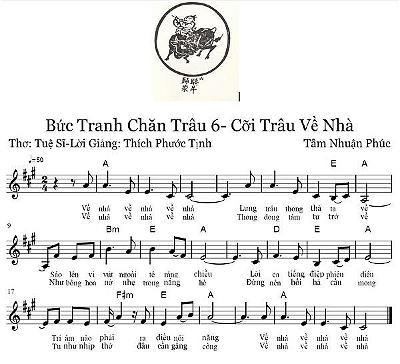 chan-trau-6