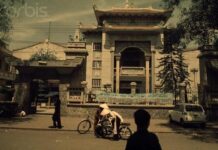 Tinh thần cứu thế của thanh niên tăng