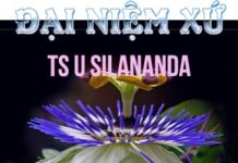 Kinh Đại Niệm Xứ