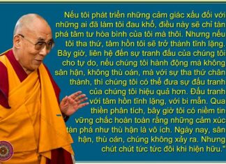 Tha thứ, tâm hồn sẽ tĩnh lặng