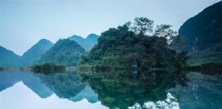 Tại sao có các tướng