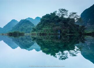 Tại sao có các tướng