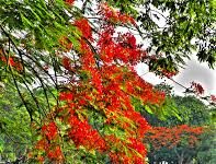 Sống Hạnh Phúc – Chết Bình An