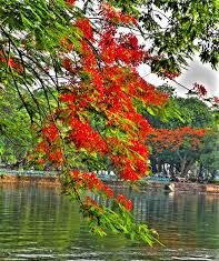 Sống Hạnh Phúc – Chết Bình An