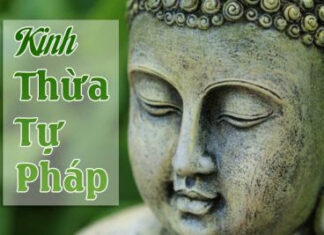 Thừa Tự Pháp Của Thầy