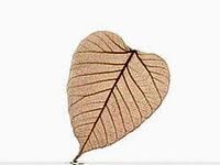 Lộ trình tiến triển của Ý thức trong sự tạo nghiệp