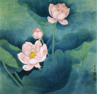 lotus_51 lotus_51