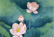 Tinh hoa của Phật giáo Đại thừa