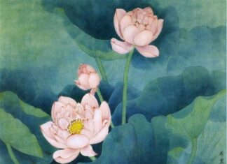 Tinh hoa của Phật giáo Đại thừa