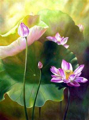 lotus_52