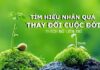 Thấu hiểu nhân quả, thay đổi cuộc đời