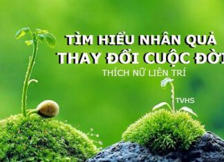 Thấu hiểu nhân quả, thay đổi cuộc đời