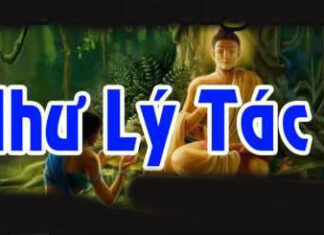 Tìm Hiểu Và Áp Dụng Như Lý Tác Ý