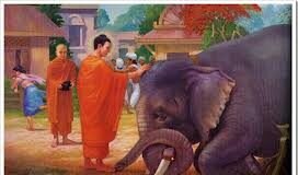 Tâm Từ Bi Hay Đem Lại Hạnh Phúc Cho Mọi Người