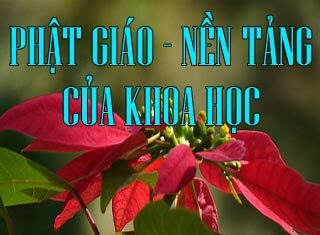 Phật Giáo Nền Tảng Của Khoa Học