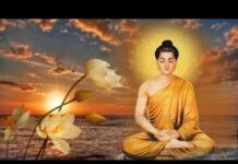 Thiền Huệ Pháp Như Thật (Yathàbhùta)