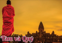 Tàm Và Quý – Con Đường Thăng Tiến Đạo Đức