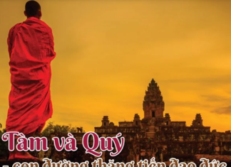 Tàm Và Quý – Con Đường Thăng Tiến Đạo Đức
