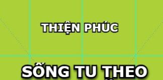 Sống Tu Theo Tinh Thần Kinh Bát Đại Nhân Giác | Thiện Phúc (Song ngữ Vietnamese-English)