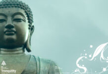 Tâm Bình Thế Giới Bình