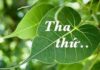 Tha Thứ: Món Quà Quý Nhất Bạn Có Thể Tặng Cho Bản Thân Và Người Khác