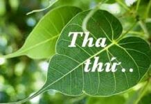 Tha Thứ: Món Quà Quý Nhất Bạn Có Thể Tặng Cho Bản Thân Và Người Khác