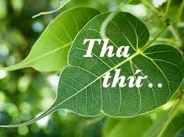 Tha Thứ: Món Quà Quý Nhất Bạn Có Thể Tặng Cho Bản Thân Và Người Khác
