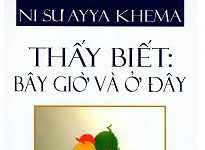 Thấy Biết: Bây Giờ & Ở Đây