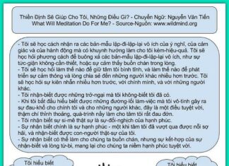 Thiền Định Sẽ Giúp Cho Tôi, Những Điều Gì? (song ngữ)